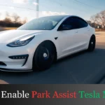 How to Enable Park Assist Tesla Model Y